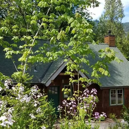 Wooded Bliss Riverfront Sanctuary On The Mckenzie McKenzie Bridge Exterior foto