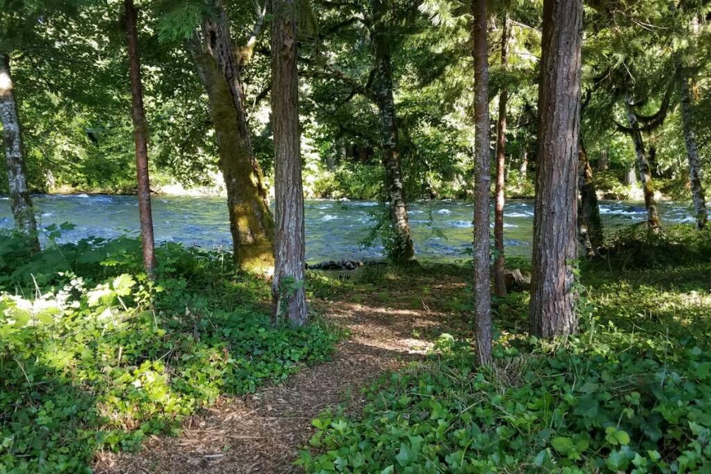 Wooded Bliss Riverfront Sanctuary On The Mckenzie Hébergement de vacances McKenzie Bridge